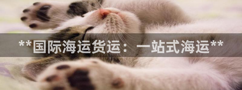 欢迎来到海边