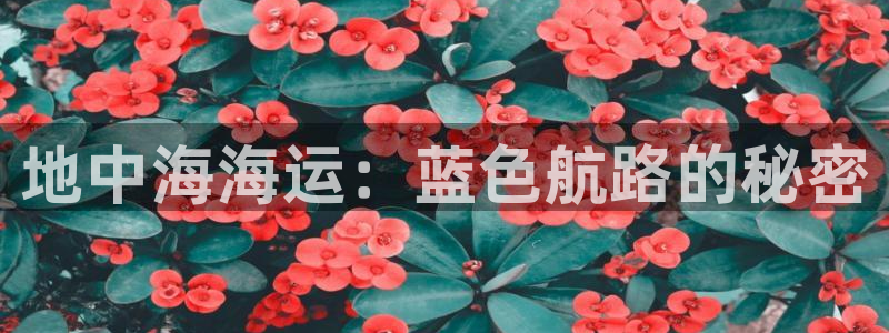 公海赌赌船jcjc710