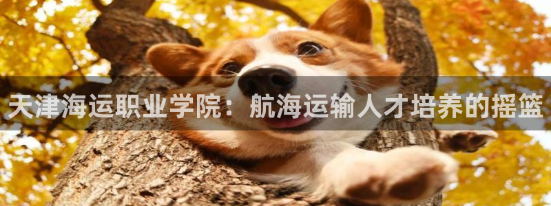 公海赌博犯法吗