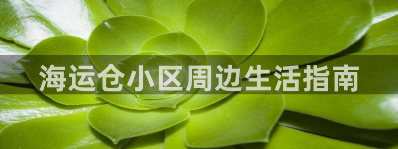 公海赌船网址710