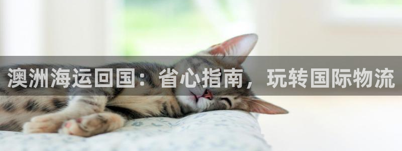 公海赌赌船官网可以做代理吗