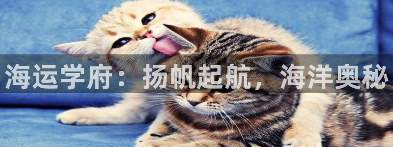 公海赌赌船快速充值