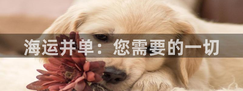 欢迎公海来到赌船710