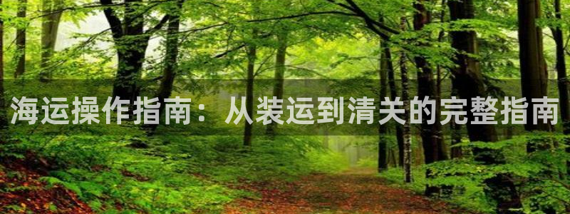公海赌博为什么没人管