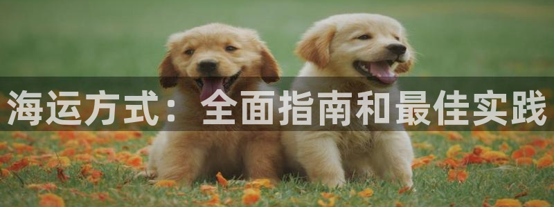 公海欢迎来到赌船