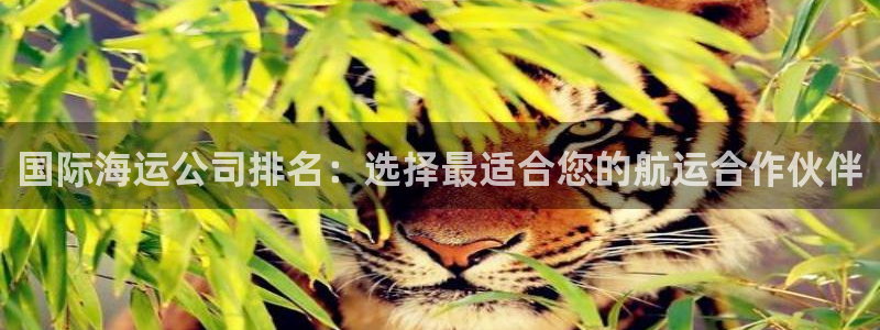 公海赌赌船最新版本更新内容