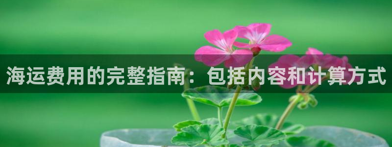 去公海赌博合法吗