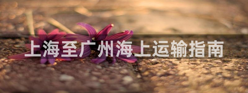 公海赌赌船最新版本更新内容