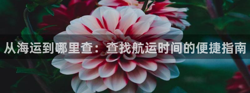 公海赌赌船官网710忘记账号了