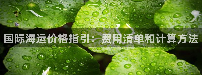 公海赌赌船官网jc710 下载