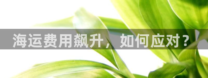 在公海赌博犯法吗