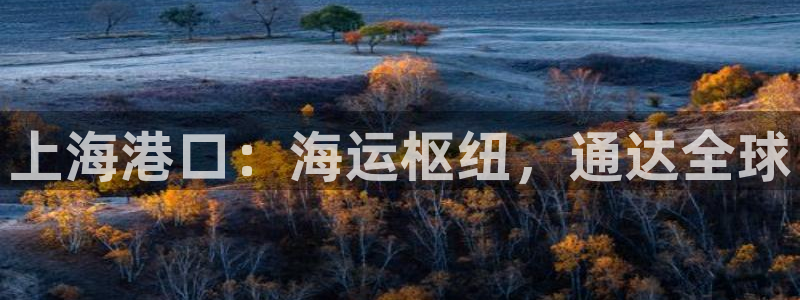欢迎你来到 公主的海岛
