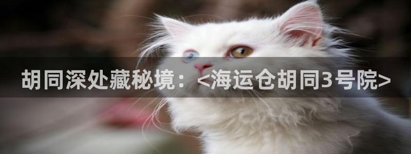 公海赌赌船维护多久