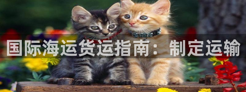 欢迎您来到公海欢迎来到赌船