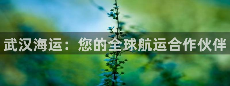 欢迎来到 公园