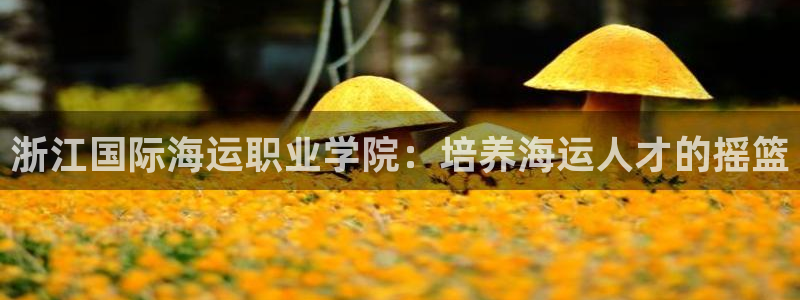 欢迎你来到公主的海岛