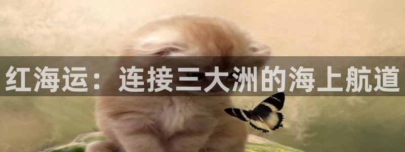 公海赌赌船官网710登录
