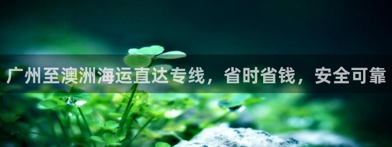 公海赌赌船官网是真的吗