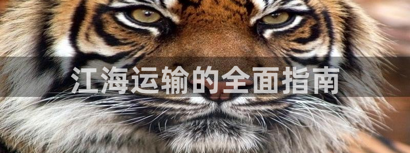 公海赌赌船官网jc710公海