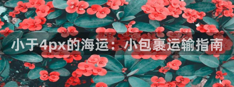 公海赌博是什么意思