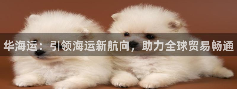 欢迎来到公海手机版710