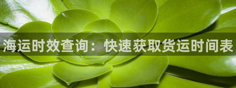 公海赌钱算合法收益吗