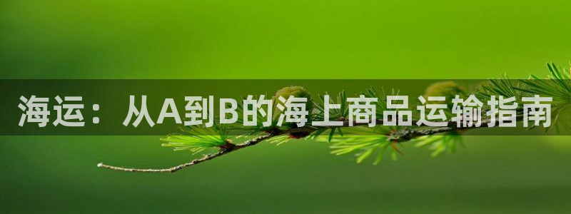 公海赌赌船官网jc710 下载