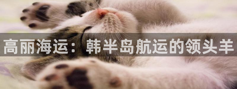 欢迎你来到公海710