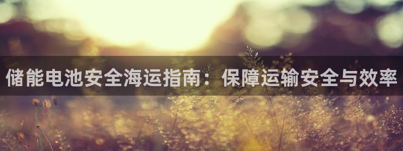公海赌赌船