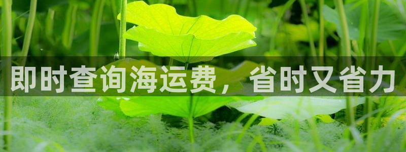 公海赌船贴吧