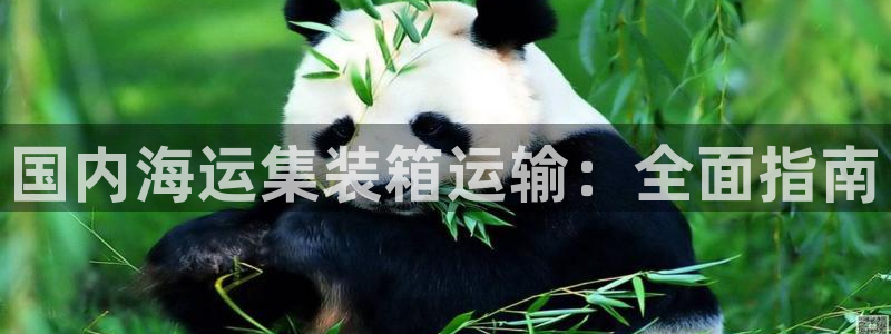 公海赌赌船手机下载