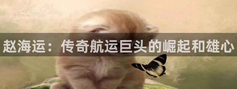 公海赌博为什么没人管