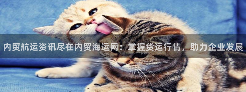 去公海赌博合法吗
