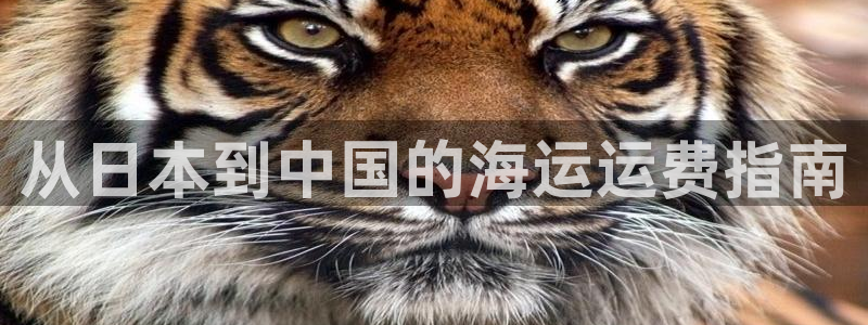 公海赌赌船官网介绍人