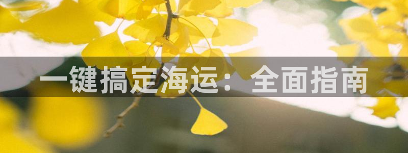 公海赌博怎么处理