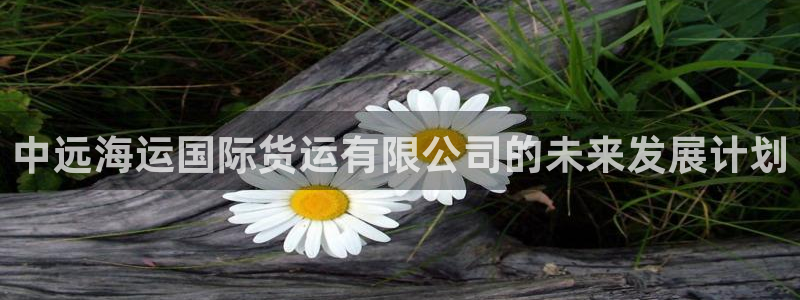 公海赌赌船官网jc710
