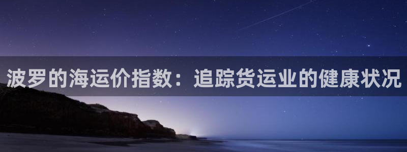 公海赌赌船官网图标