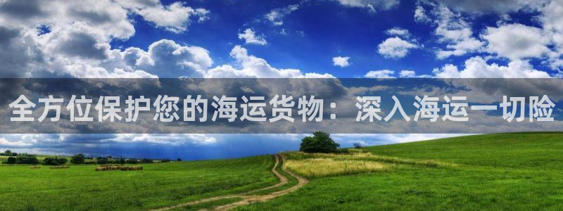 公海赌赌船官网图标