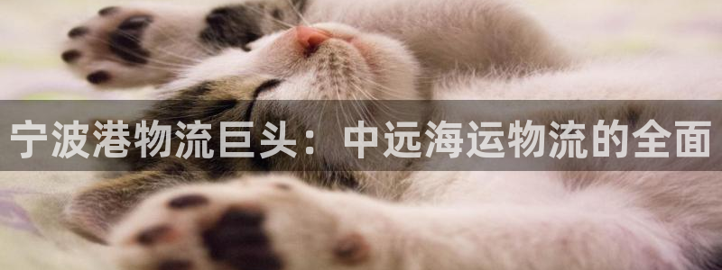 欢迎公海来到赌船710