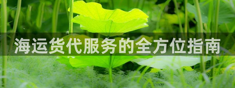 欢迎来到公海710官网