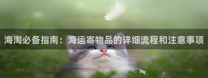 公海赌赌船jcjc710