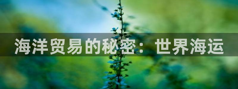 公海 赌船710手机版下载