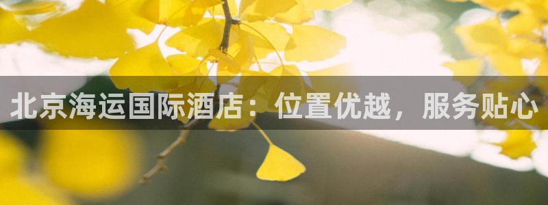 公海赌钱违法吗