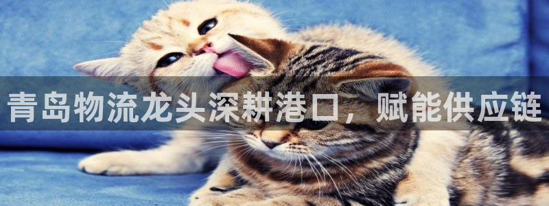 公海赌赌船710检测路线