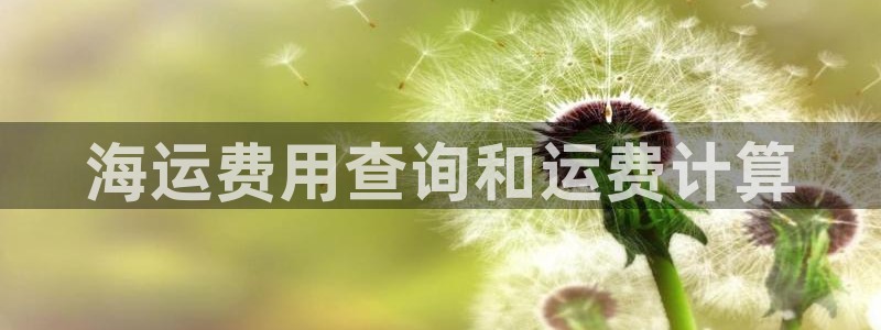 公海赌船官网下载