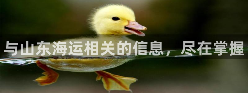 公海赌赌船系统维护要多久