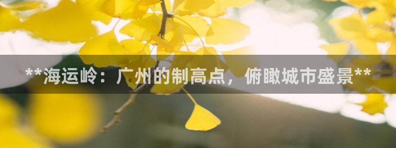 欢迎来到 公园