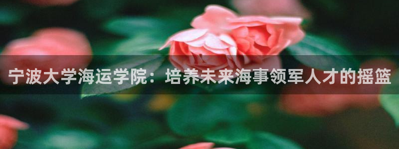 公海赌赌船官网710忘记账号了