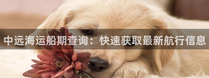 欢迎来到海边