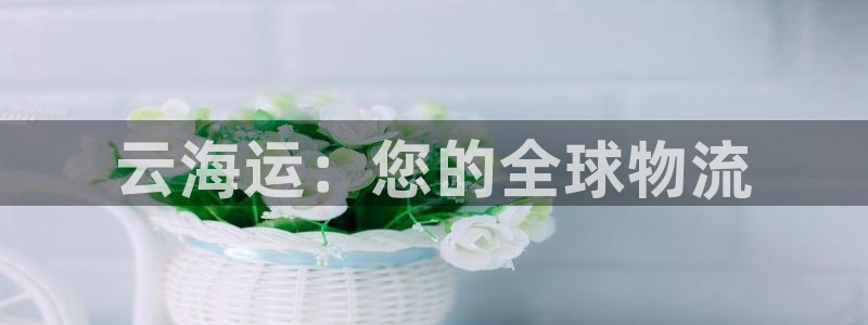公海赌钱违法吗